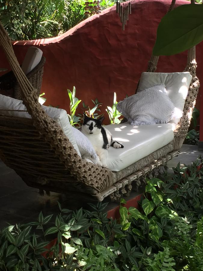 Holiday home Cumelen Jijoca de Jericoacoara