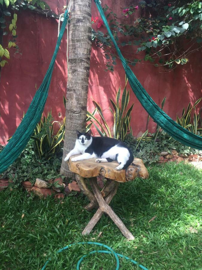Cumelen Holiday home Jijoca de Jericoacoara